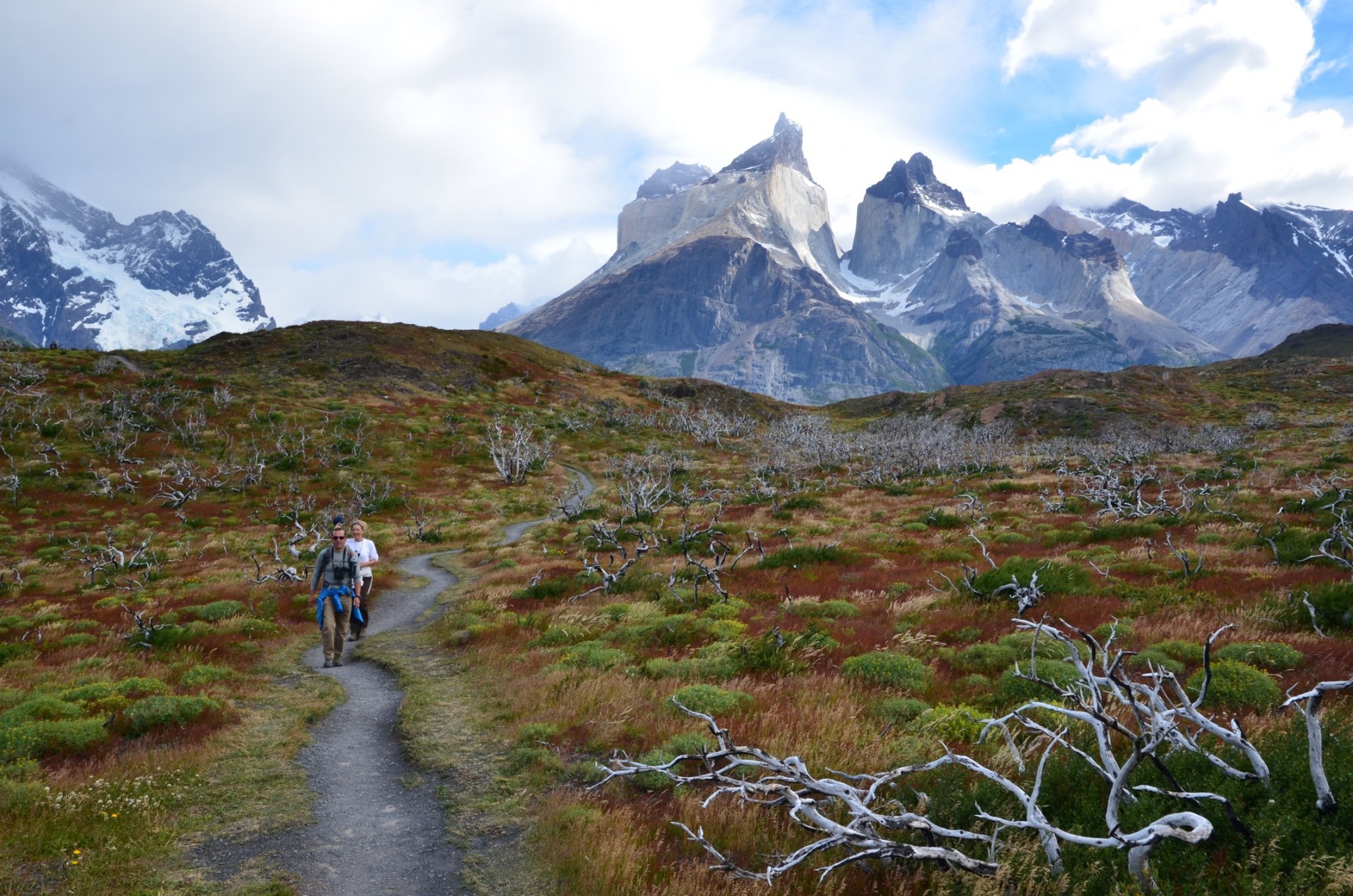 Atlas_Reizen_Chili_Torres_del_Paine_1