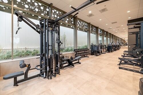 Dimensio gym